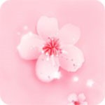 妖精视频安装包