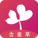 适合晚上一个人看b站软件