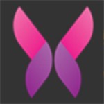 麻花传媒mv国产免费观看视频安卓版