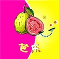 黄桃视频无限制版
