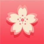 梅花视频老版本app下载入口