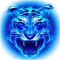 可约可空降直播平台app
